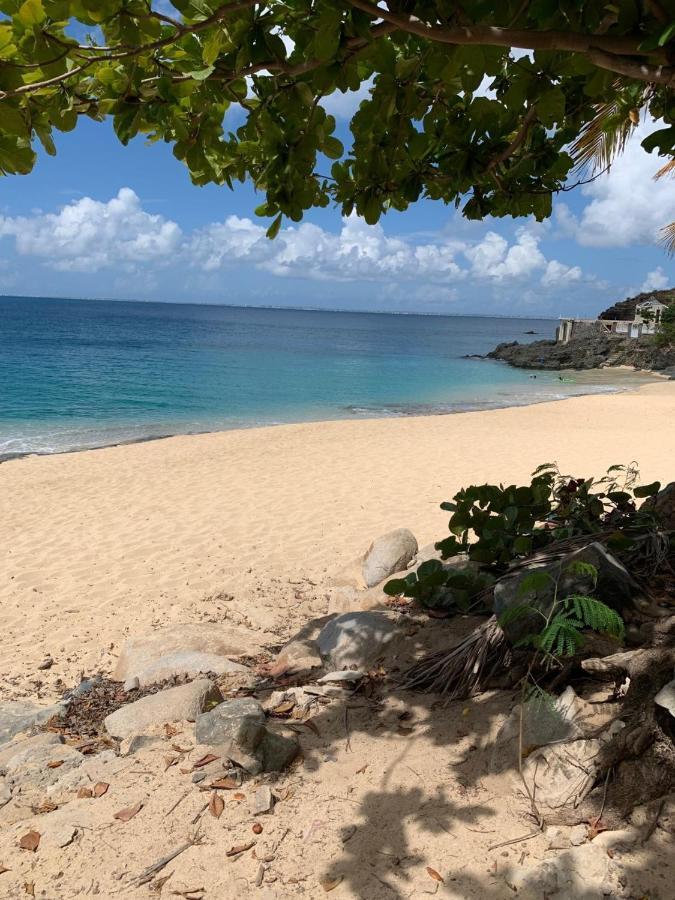 St Martin Nettle Bay Lovely Appartment Sandy Ground Exterior photo